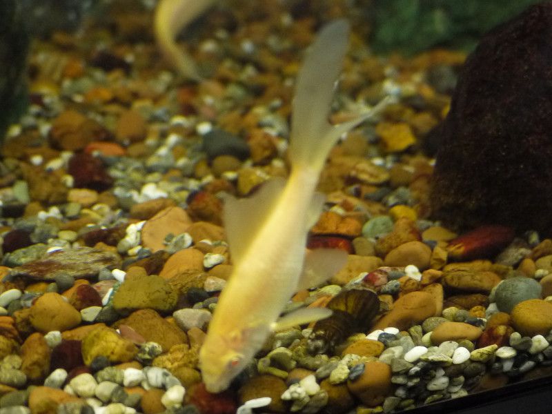 �A���r�m�S��