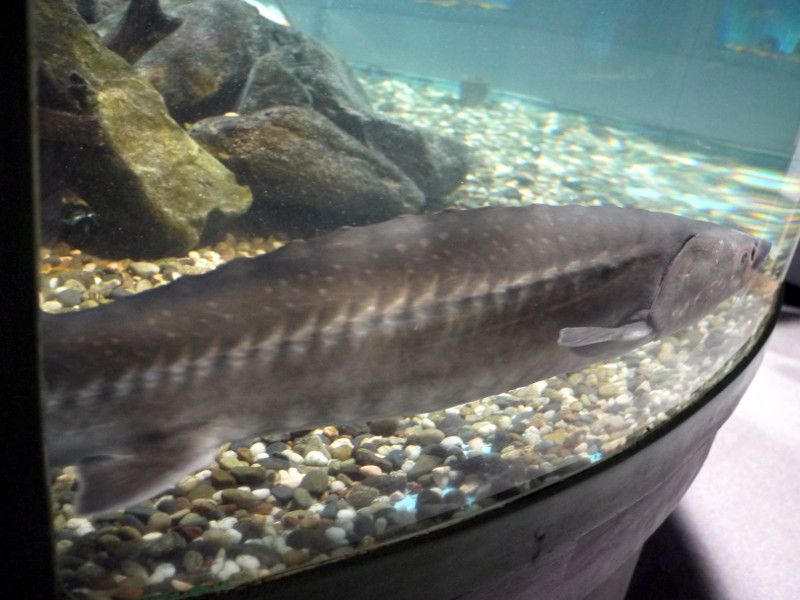 �`���E�U��