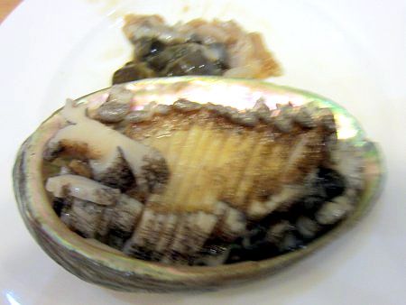 アワビ 鮑 かぎけんweb アワビ 鮑 かぎけんweb