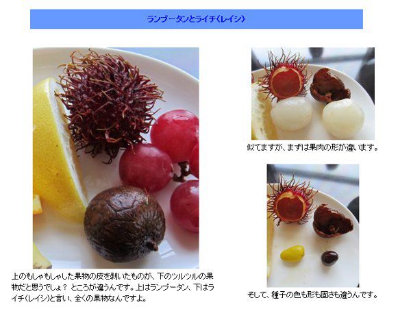 札幌で会ったお父さん 11年12月25日 かぎけんweb