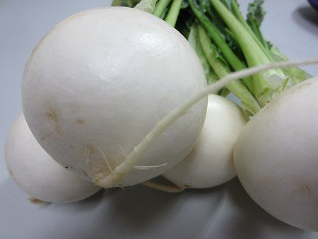 カブ 蕪 かぎけんweb カブ 蕪 かぎけんweb