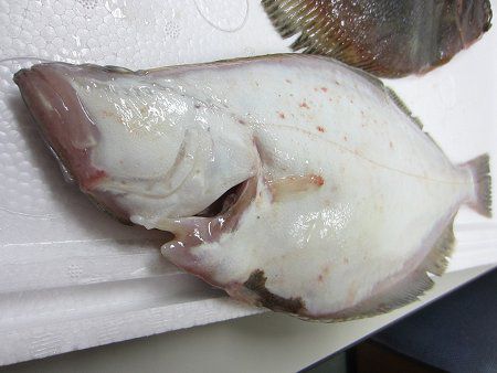 ソウハチ 宗八 かぎけんweb