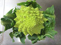 }lXR9iRomanesco)