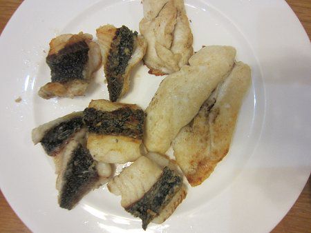 城ヶ崎釣り 12年3月10日 かぎけんweb 城ヶ崎釣り 12年3月10日 かぎけんweb