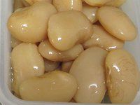 唒Ԍ|iIIVniQC}j̎ϓ