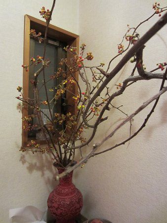 �c���E�����h�L