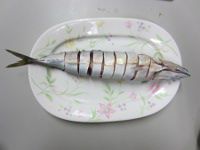 マサバ（真鯖）姿寿司