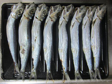 �C���V�ۊ���