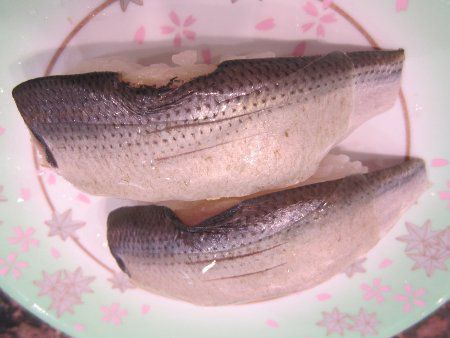 コノシロ かぎけんweb