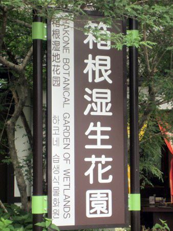 箱根湿生花園
