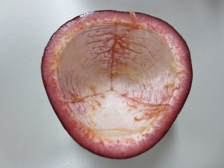 pbVEt[c(Passion fruit)