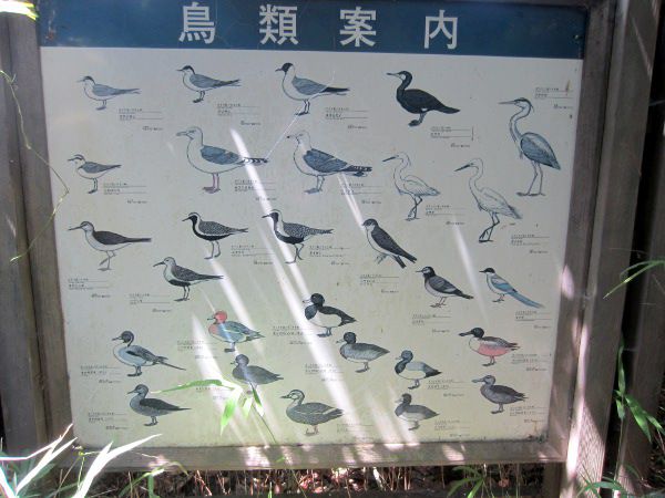 葛西臨海公園鳥類園に行った日 12年6月30日 Ixy かぎけんweb 葛西臨海公園鳥類園に行った日 12年6月30日 Ixy かぎけんweb