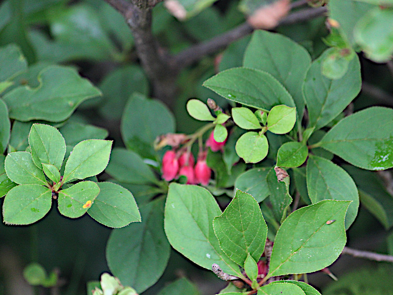 �x�j�T���T�h�E�_��