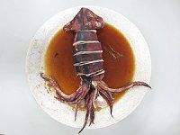 スルメイカ 鯣烏賊 かぎけんweb