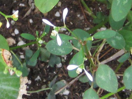 [tHrAEqyLtHA '_ChEtXg'