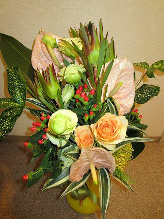 絵画 額縁付 プロテア protea 590 件の「FF - Protea」や「花」のアイデアを今すぐ保存