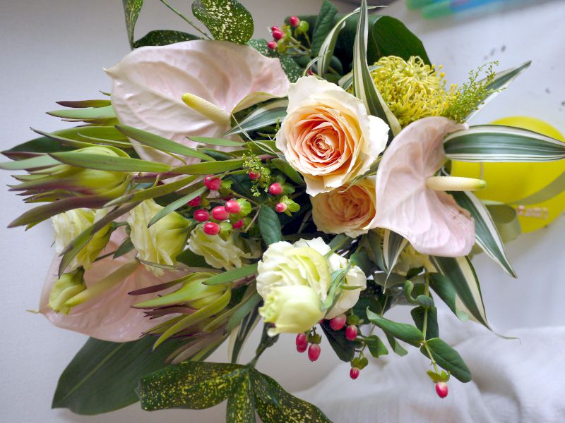 赤い実が可愛い！ヒペリカム・アンドロサエマム(Hypericum
