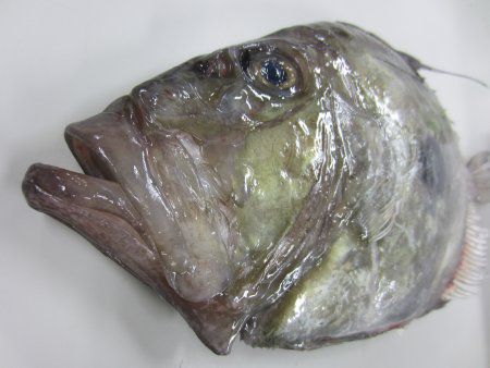 �}�g�E�_�C