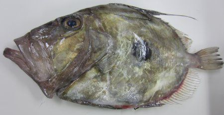 �}�g�E�_�C