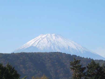 xmRiPlalace Hotel̒]j