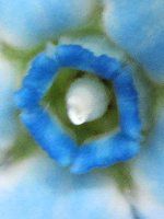 ILVy^EJGEABlue star6