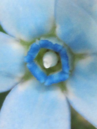 ILVy^EJGEABlue star6