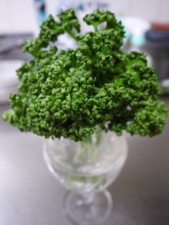 【2025年】お歳暮ギフト パセリ（parsley）【かぎけんWEB】 エプロン・三角巾