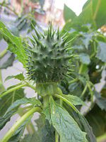 ���ԗm�풩�N����3