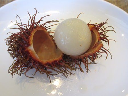 ランブータン Rambutan かぎけんweb