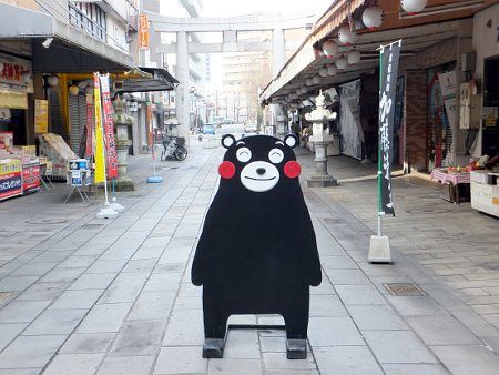 熊　胆のう　月の輪熊 月齢7ヶ月 阿仁 ツキノワの赤ちゃん － その1 : 孤独と孤高の