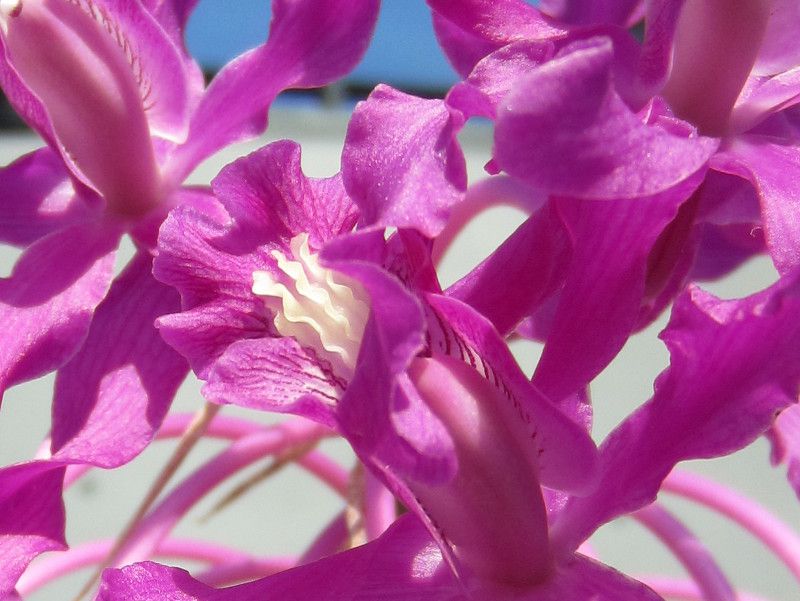 AEVWN(Lealia Shinjuku)