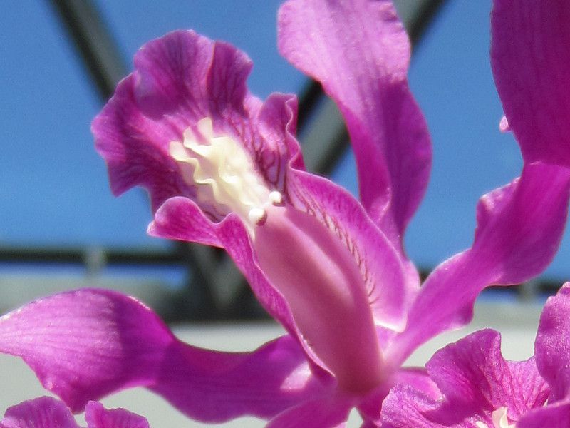 AEVWN(Lealia Shinjuku)