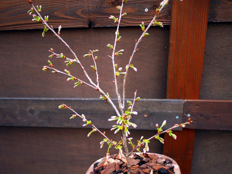 �t�W�J�X�~�U�N��