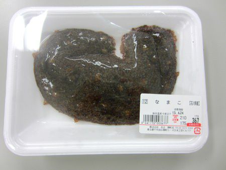 マナマコ 真海鼠 かぎけんweb マナマコ 真海鼠 かぎけんweb
