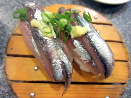 カタクチイワシ 片口鰯 かぎけんweb カタクチイワシ 片口鰯 かぎけんweb