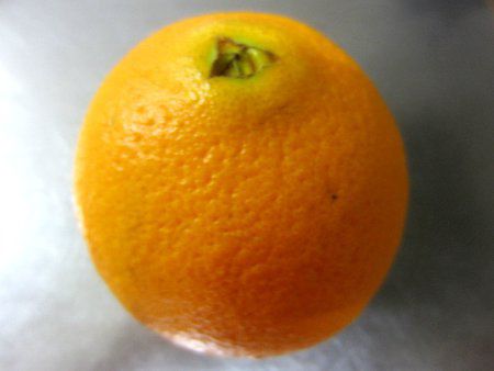 ネーブルオレンジ ネーブルオレンジ（88玉サイズ） 【業務用食材の仕入れなら