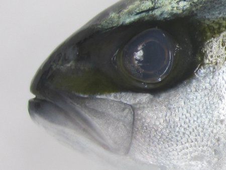 �q���}�T��