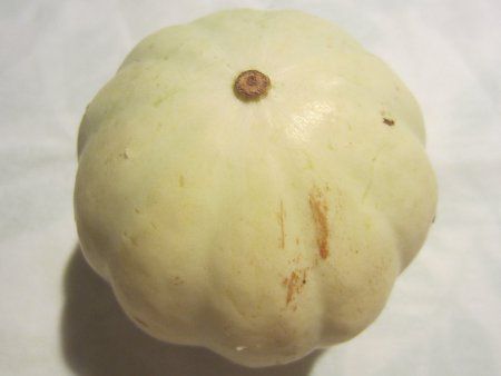 カボチャ 南瓜 かぎけんweb カボチャ 南瓜 かぎけんweb