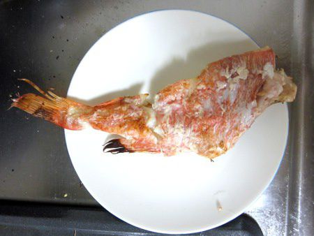 タイセイヨウアカウオ 大西洋赤魚 かぎけんweb タイセイヨウアカウオ 大西洋赤魚 かぎけんweb