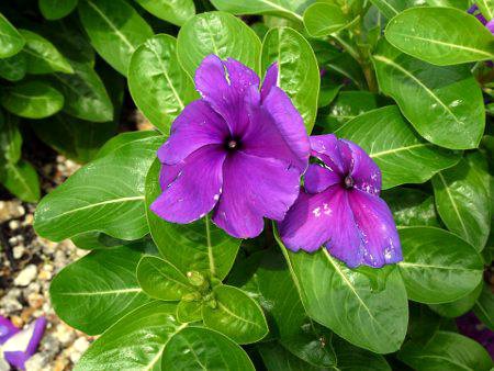 j`j`\E 't@[XgLXEu[x['