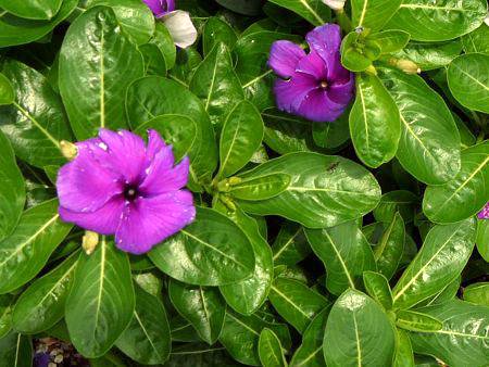 j`j`\E 't@[XgLXEu[x['