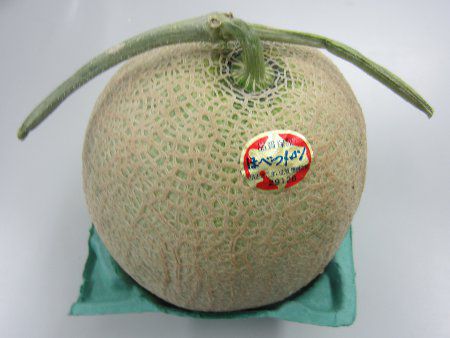 メロン(Melon)【かぎけんWEB】
