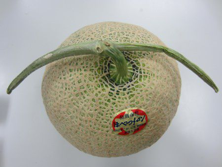 メロン(Melon)【かぎけんWEB】