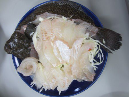 メイタガレイ 目板鰈 かぎけんweb