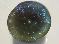 ����p�[�v���ʓ�