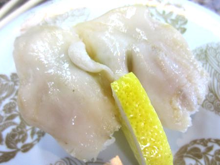 エゾイシカゲガイ 蝦夷石蔭貝 かぎけんweb エゾイシカゲガイ 蝦夷石蔭貝 かぎけんweb