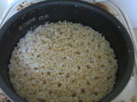 ���Ă���