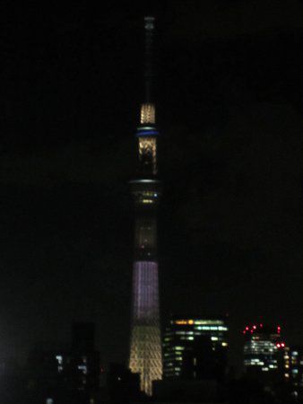 �����X�J�C�c���[