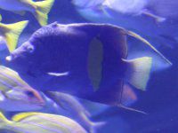 Z_JbRiwzj=CG[ohG[tBbV