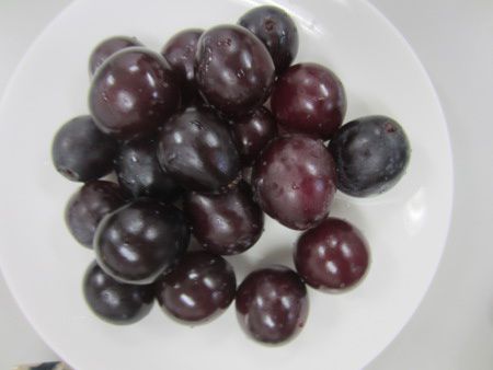 �i�K�m�p�[�v��